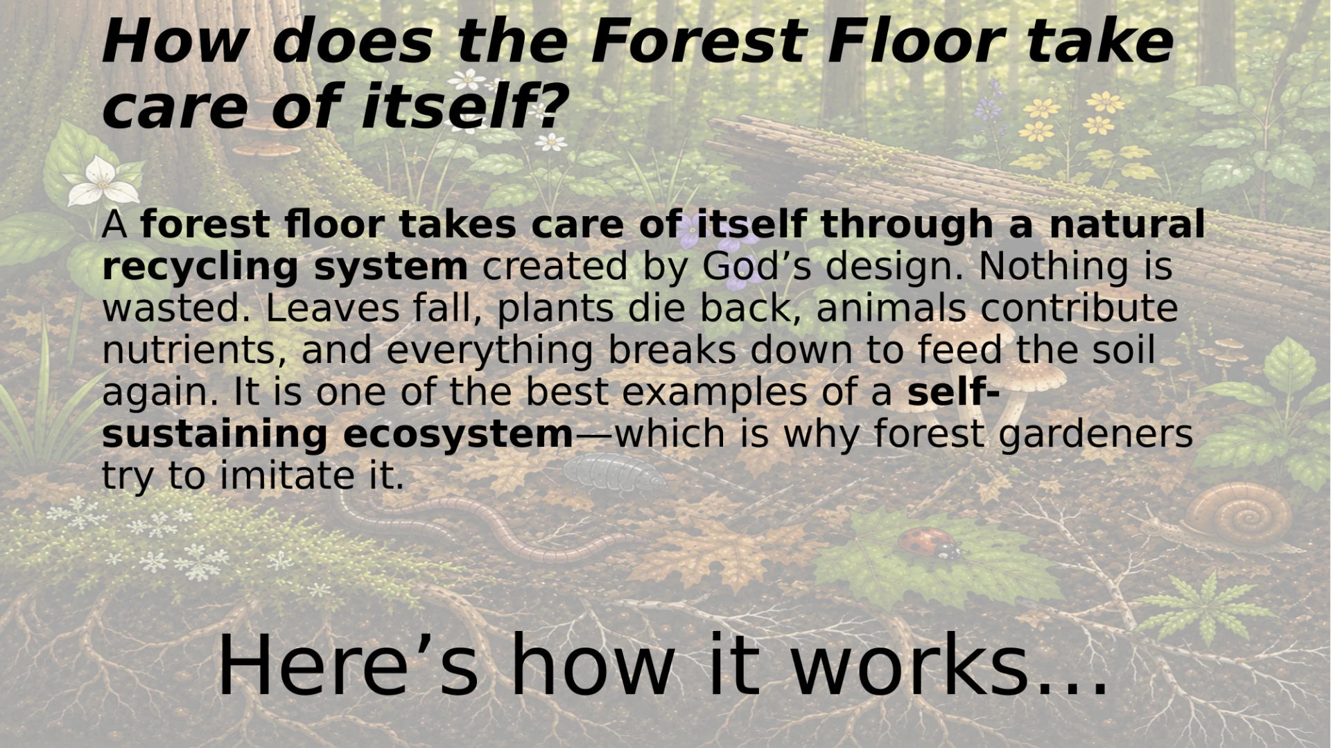 Slide 15