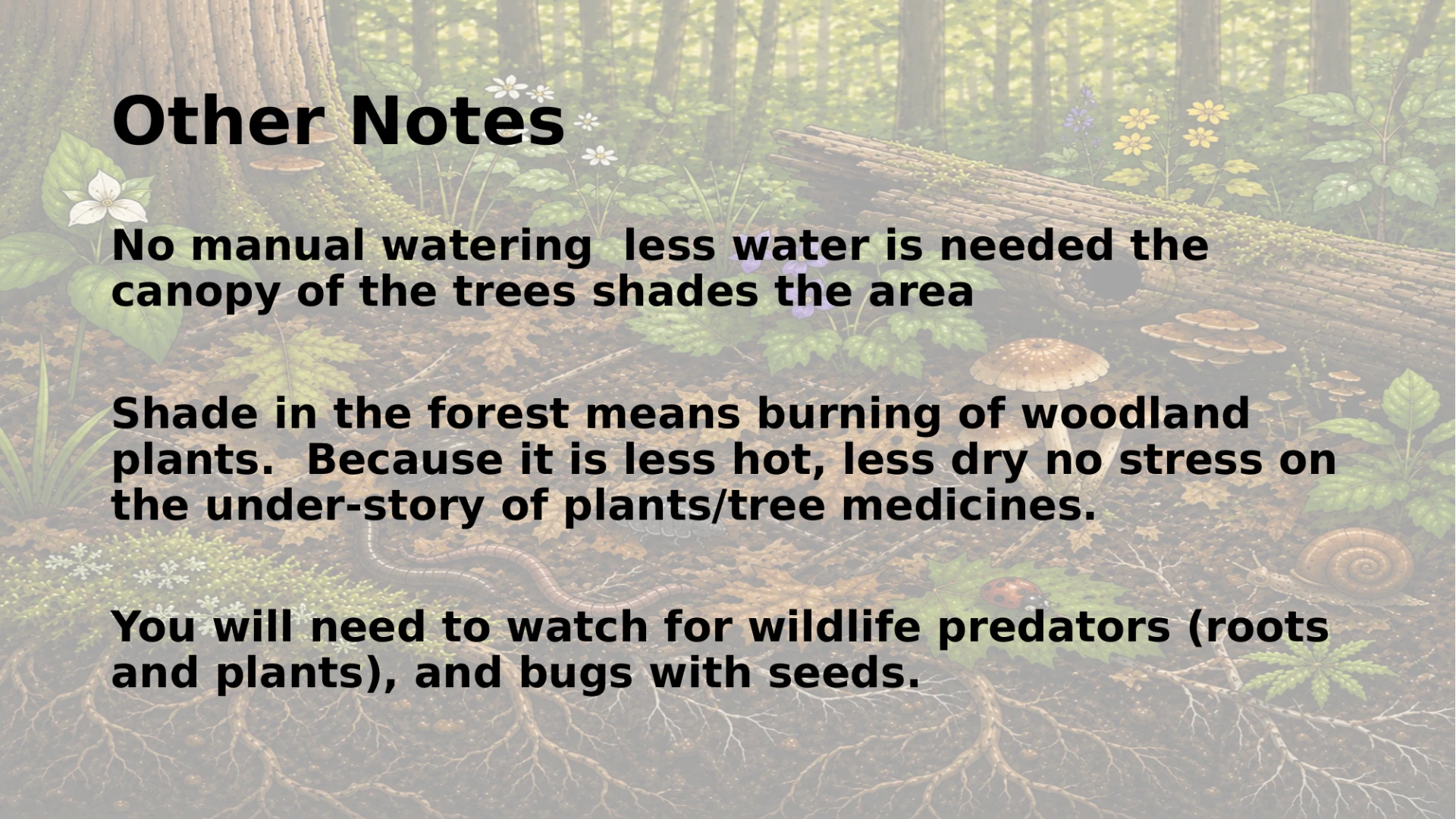 Slide 23