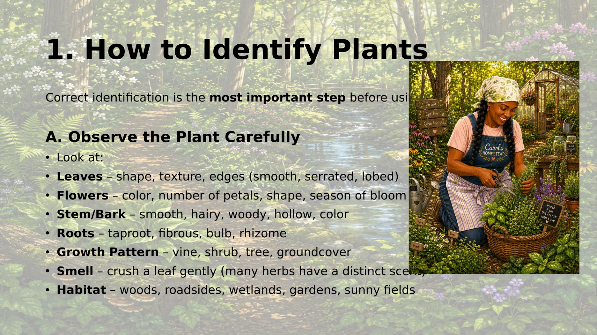 Slide 29