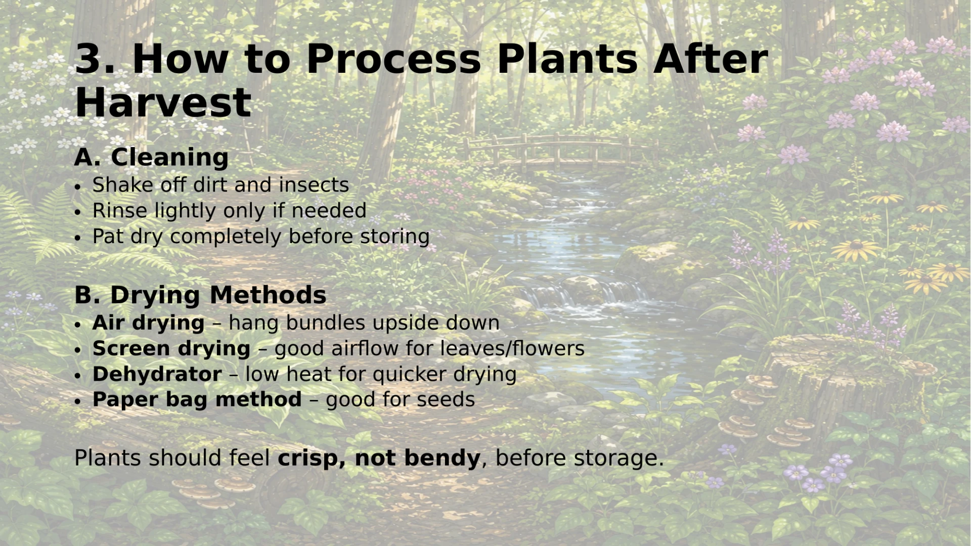 Slide 33